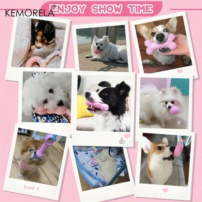6-Piece Dog Chew Toy Set – Soft Rubber, Dental Cleaning & Perfect Gift