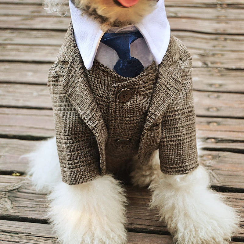 Knight Suit for Dogs and Cats – Jacket and Vest for Weddings and Parties