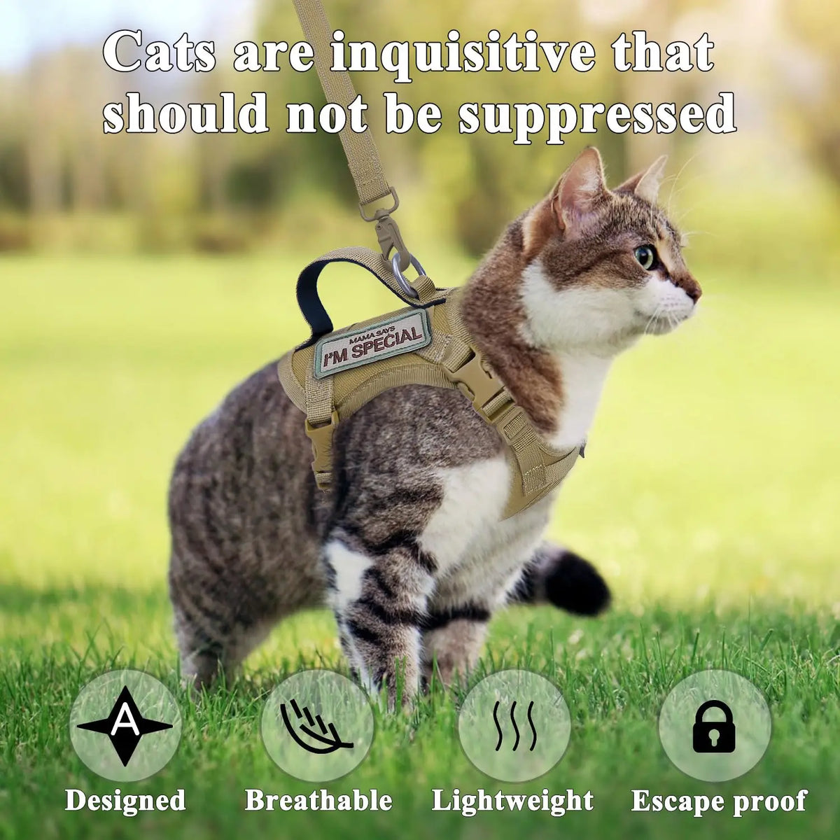 Cat & Dog Harness and Leash Set — Escape-Proof, Reflective & Adjustable