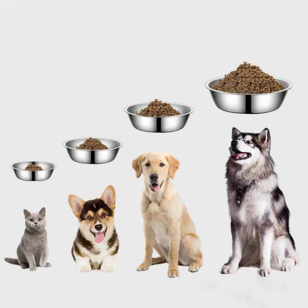 Stainless Steel Bowl for Dogs & Cats – Large Capacity, Non-Slip
