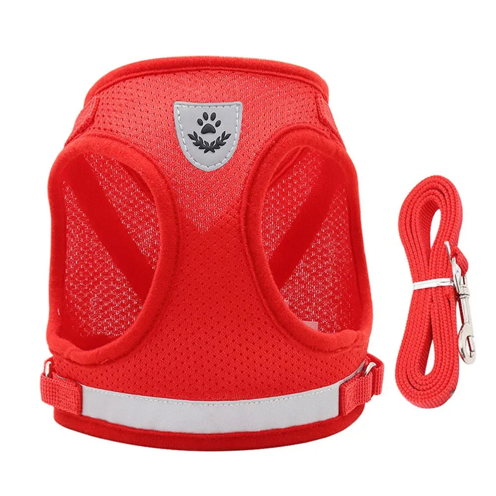 Escape-Proof Cat Harness — Reflective Mesh Vest with Leash, Adjustable