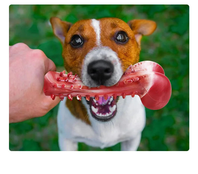 Tough Chew Toy for Large Dogs – Natural Rubber Bone with Beef Flavor & Dental Cleaning
