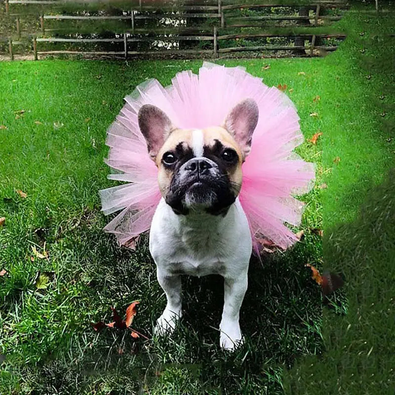 Tutu Dress for Dogs and Cats – Mesh Skirt for Pets