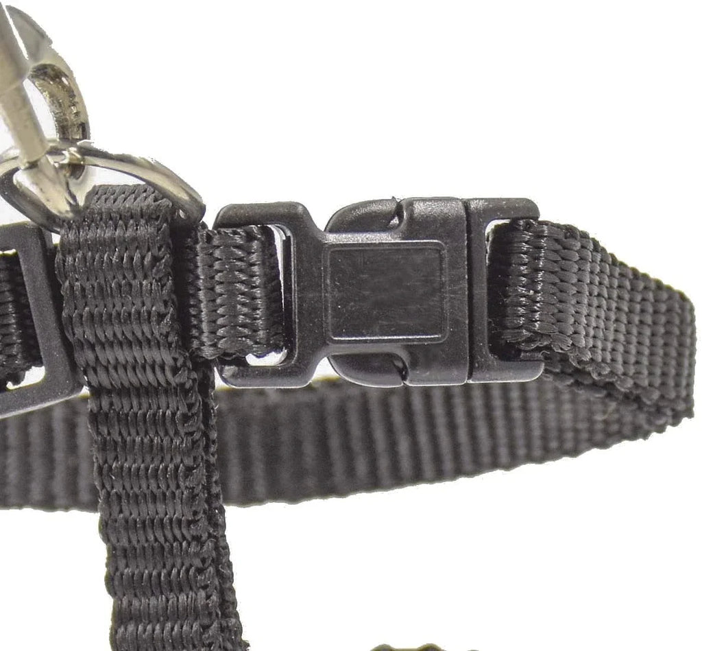Kitten & Cat Harness and Leash Set — Escape-Proof, Adjustable with Bell