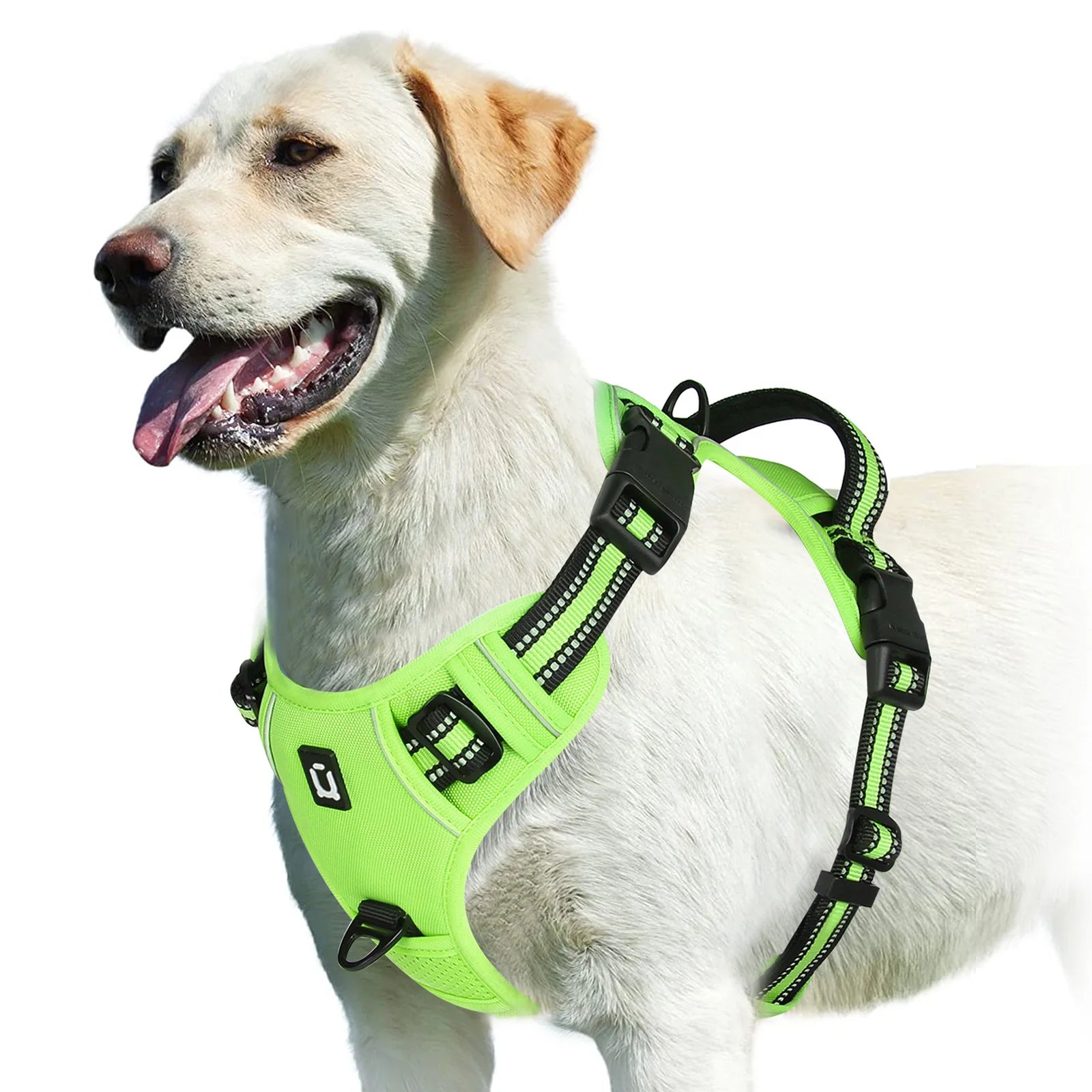 Arnés Sin Jalón para Perros – Chaleco Acolchado Ajustable con Asa de Control