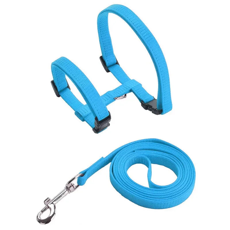 Kitten & Cat Harness and Leash Set — Escape-Proof, Adjustable with Bell