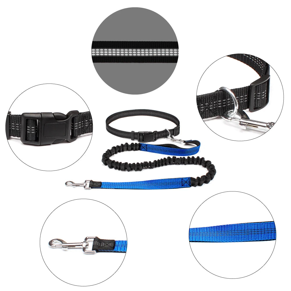 Hands-Free Dog Leash — Adjustable, Reflective & Comfortable for Running & Walking