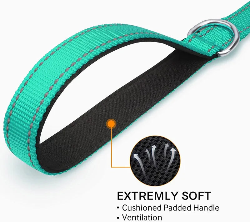 Reflective Dog & Cat Leash — Safe Walks Day and Night