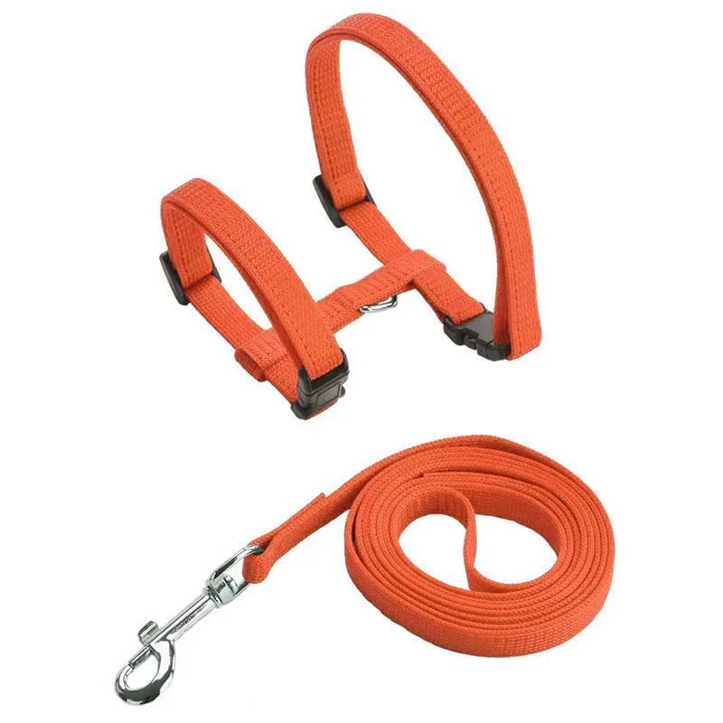 Kitten & Cat Harness and Leash Set — Escape-Proof, Adjustable with Bell