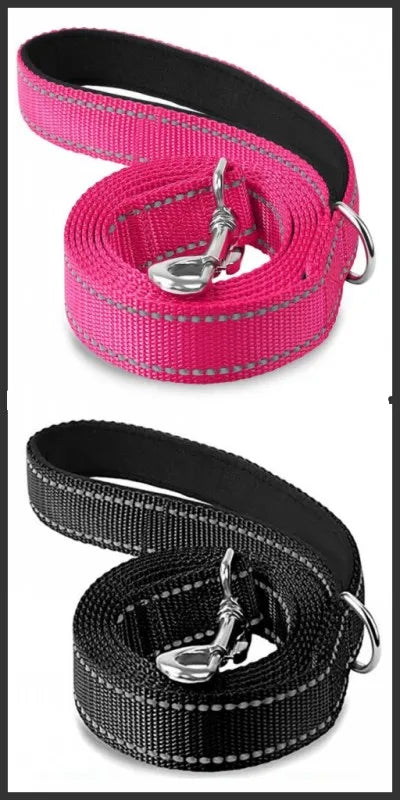 Reflective Dog & Cat Leash — Safe Walks Day and Night