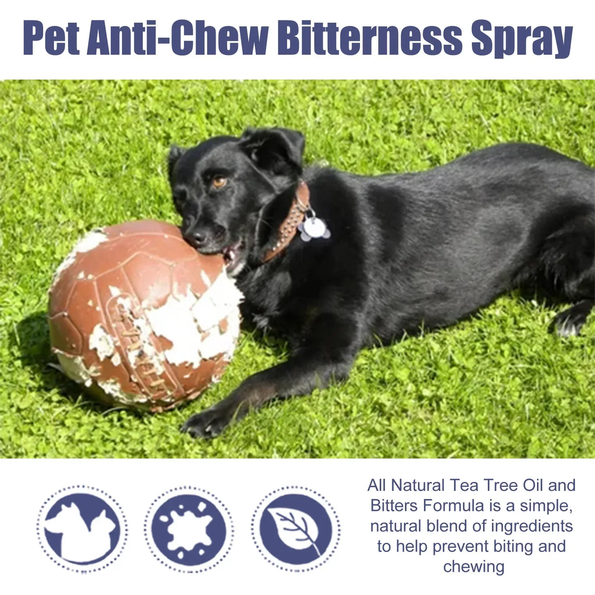 Bitter Spray for Dogs & Cats – Anti-Chew & Scratch Deterrent, 50ml