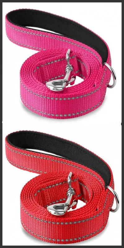 Reflective Dog & Cat Leash — Safe Walks Day and Night