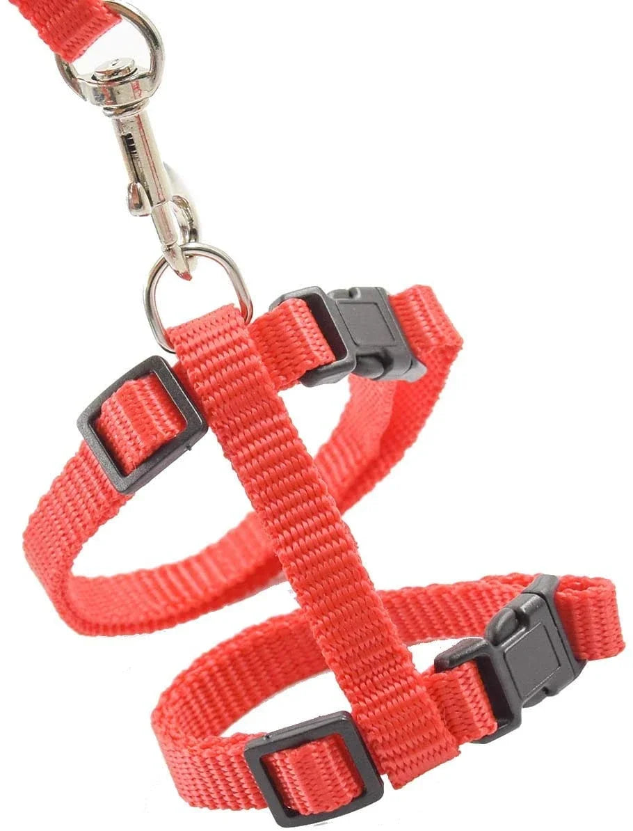Kitten & Cat Harness and Leash Set — Escape-Proof, Adjustable with Bell
