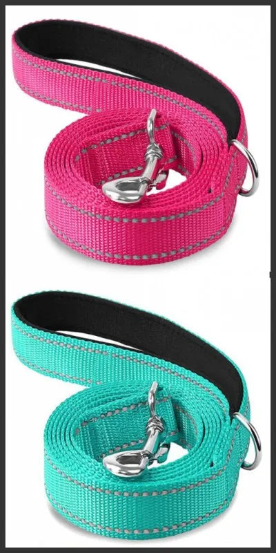 Reflective Dog & Cat Leash — Safe Walks Day and Night