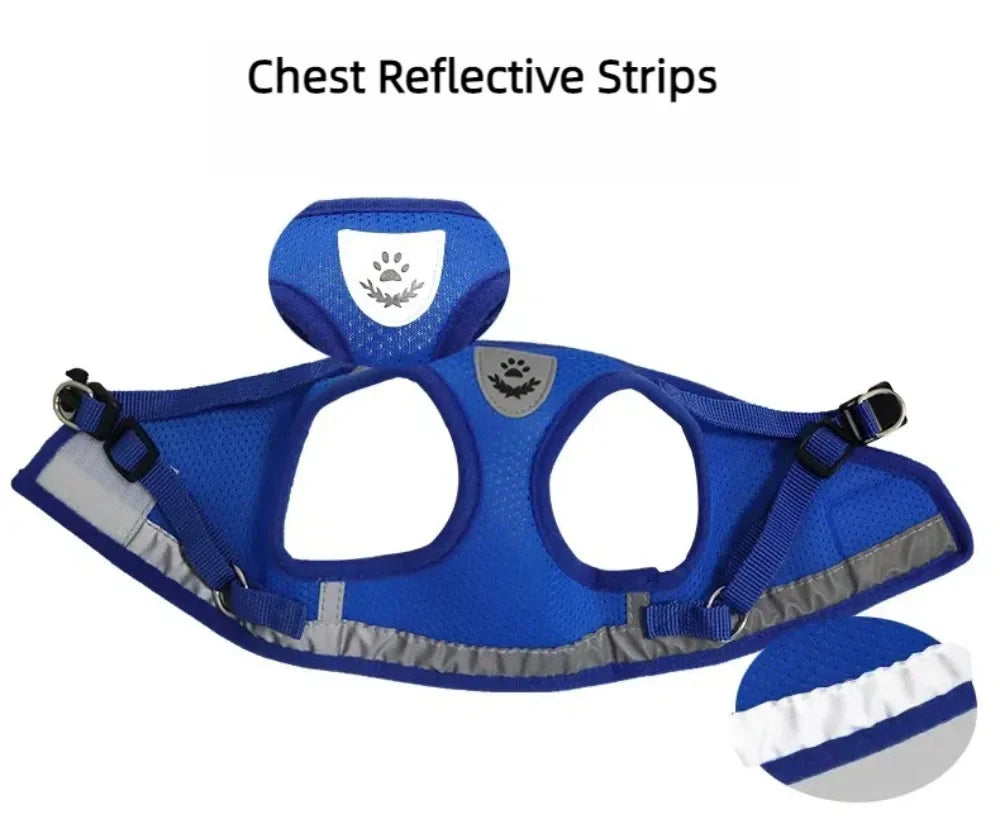 Escape-Proof Cat Harness — Reflective Mesh Vest with Leash, Adjustable