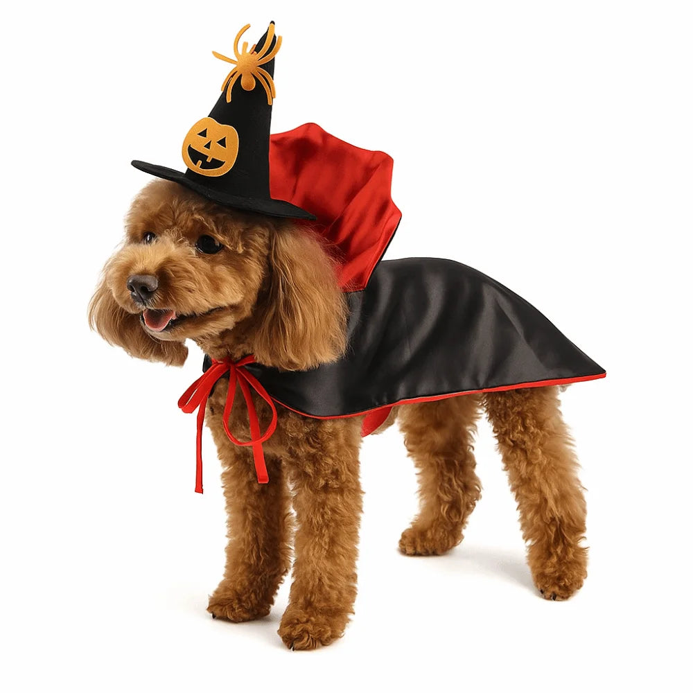 Halloween Costume for Pets – Knight Cape for Dogs and Cats