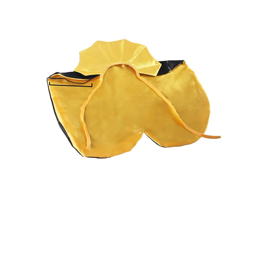 Halloween Costume for Pets – Knight Cape for Dogs and Cats