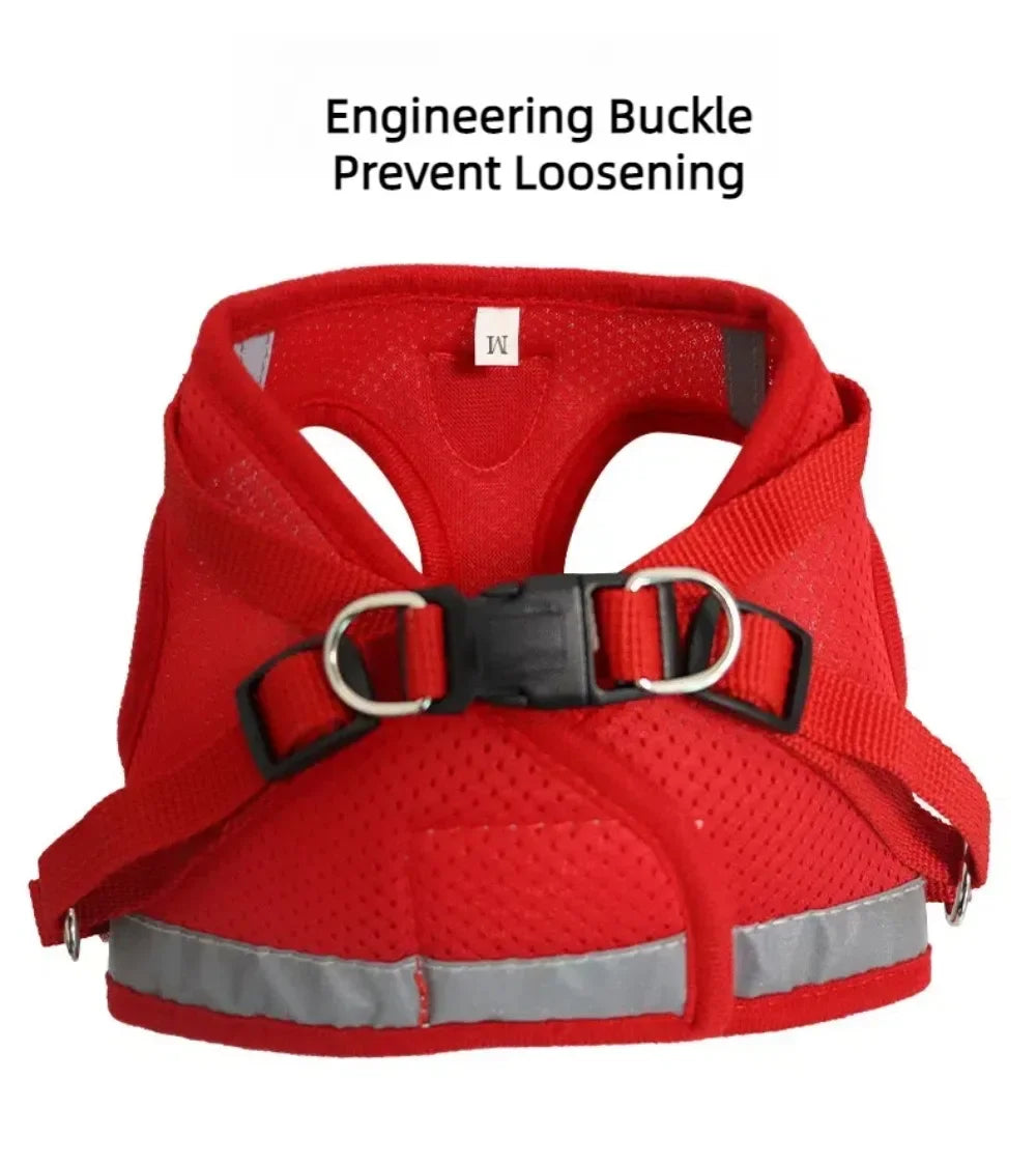 Escape-Proof Cat Harness — Reflective Mesh Vest with Leash, Adjustable