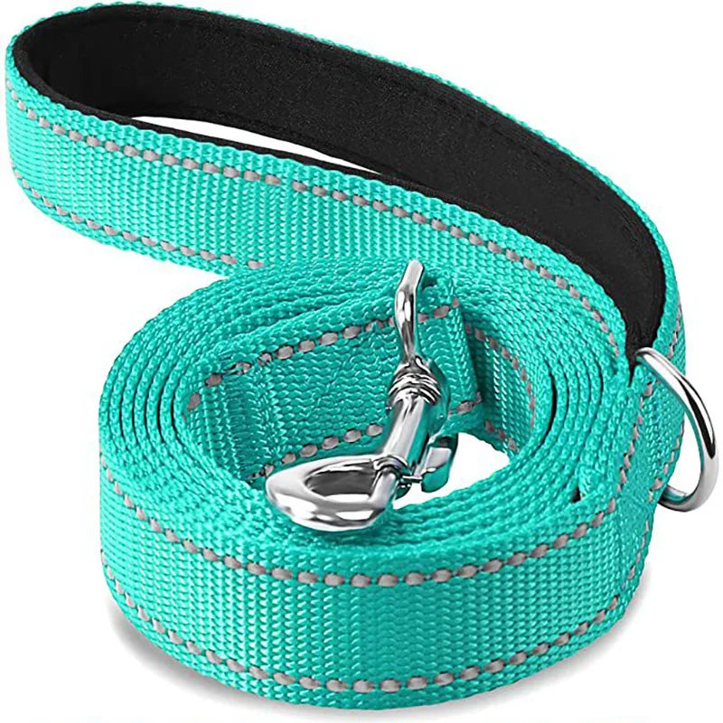 Reflective Dog & Cat Leash — Safe Walks Day and Night