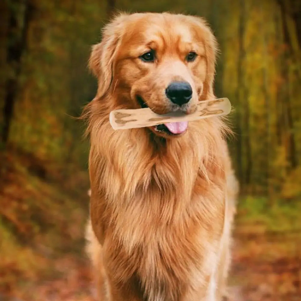 Coffee Wood Dog Chew Stick – Natural Dental Cleaning & Stress Relief