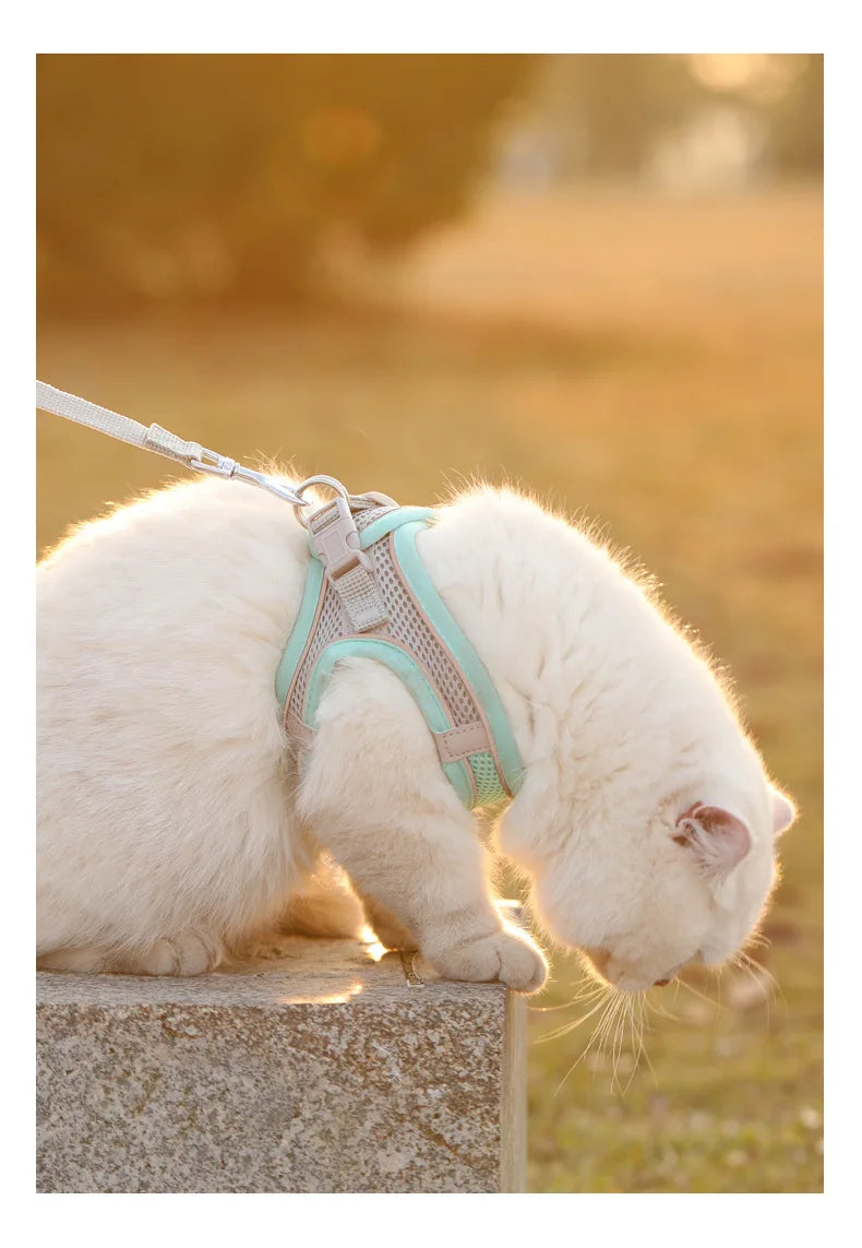 Reflective Adjustable Harness for Dogs & Cats — Vest with Leash for Walking