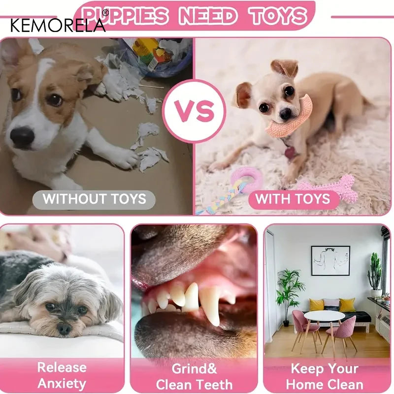 6-Piece Dog Chew Toy Set – Soft Rubber, Dental Cleaning & Perfect Gift