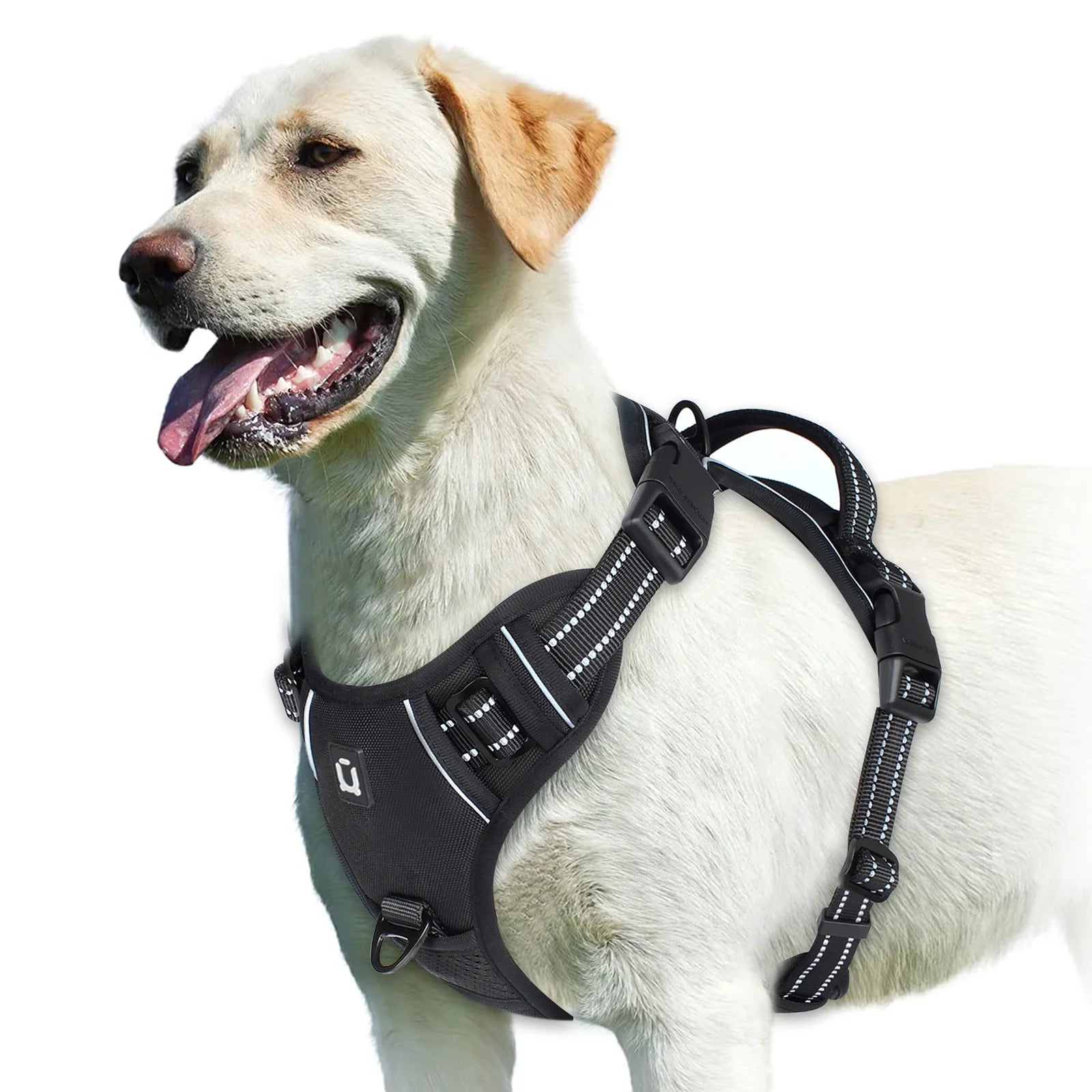 Arnés Sin Jalón para Perros – Chaleco Acolchado Ajustable con Asa de Control