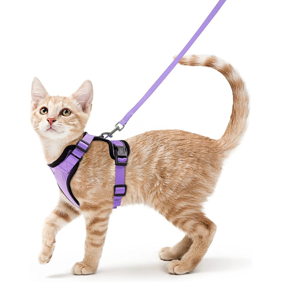 Arnés y Correa para Gatos — Suave, Ajustable y Escape-Proof