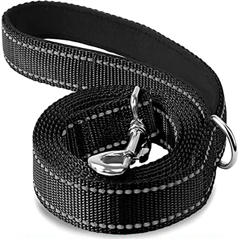 Reflective Dog & Cat Leash — Safe Walks Day and Night
