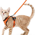 Arnés y Correa para Gatos — Suave, Ajustable y Escape-Proof