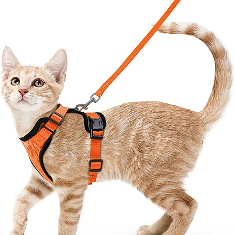 Arnés y Correa para Gatos — Suave, Ajustable y Escape-Proof