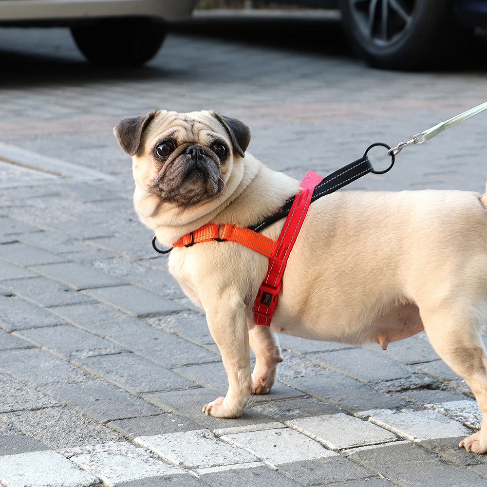 Reflective No-Pull Dog Harness — Padded, Adjustable & Durable