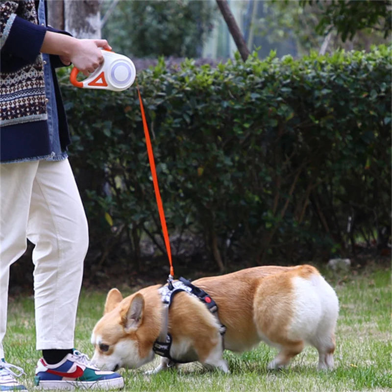 5M Retractable Dog Leash with LED Light — Durable Nylon for Night Walks