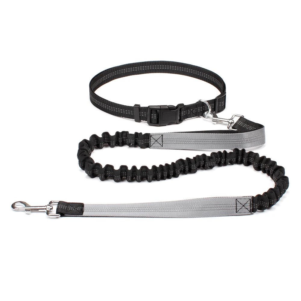 Hands-Free Dog Leash — Adjustable, Reflective & Comfortable for Running & Walking