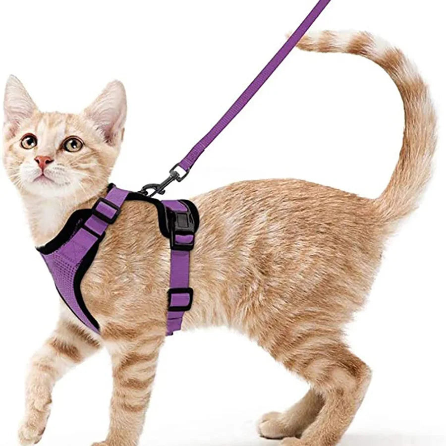 Arnés y Correa para Gatos — Suave, Ajustable y Escape-Proof