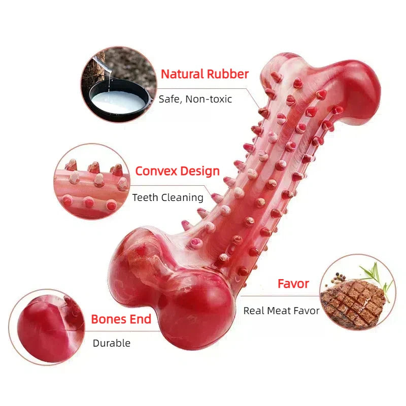 Tough Chew Toy for Large Dogs – Natural Rubber Bone with Beef Flavor & Dental Cleaning