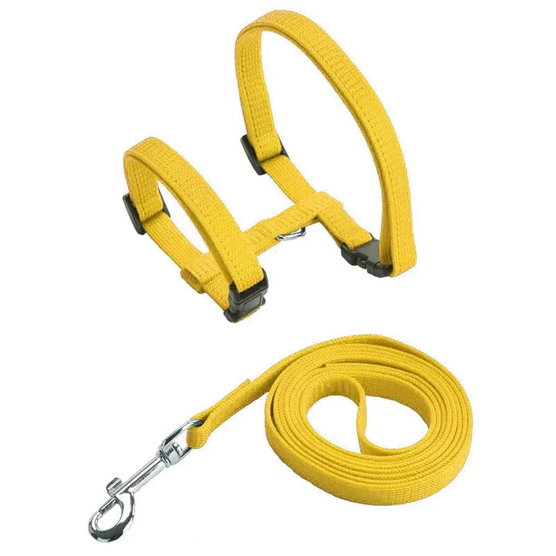 Kitten & Cat Harness and Leash Set — Escape-Proof, Adjustable with Bell