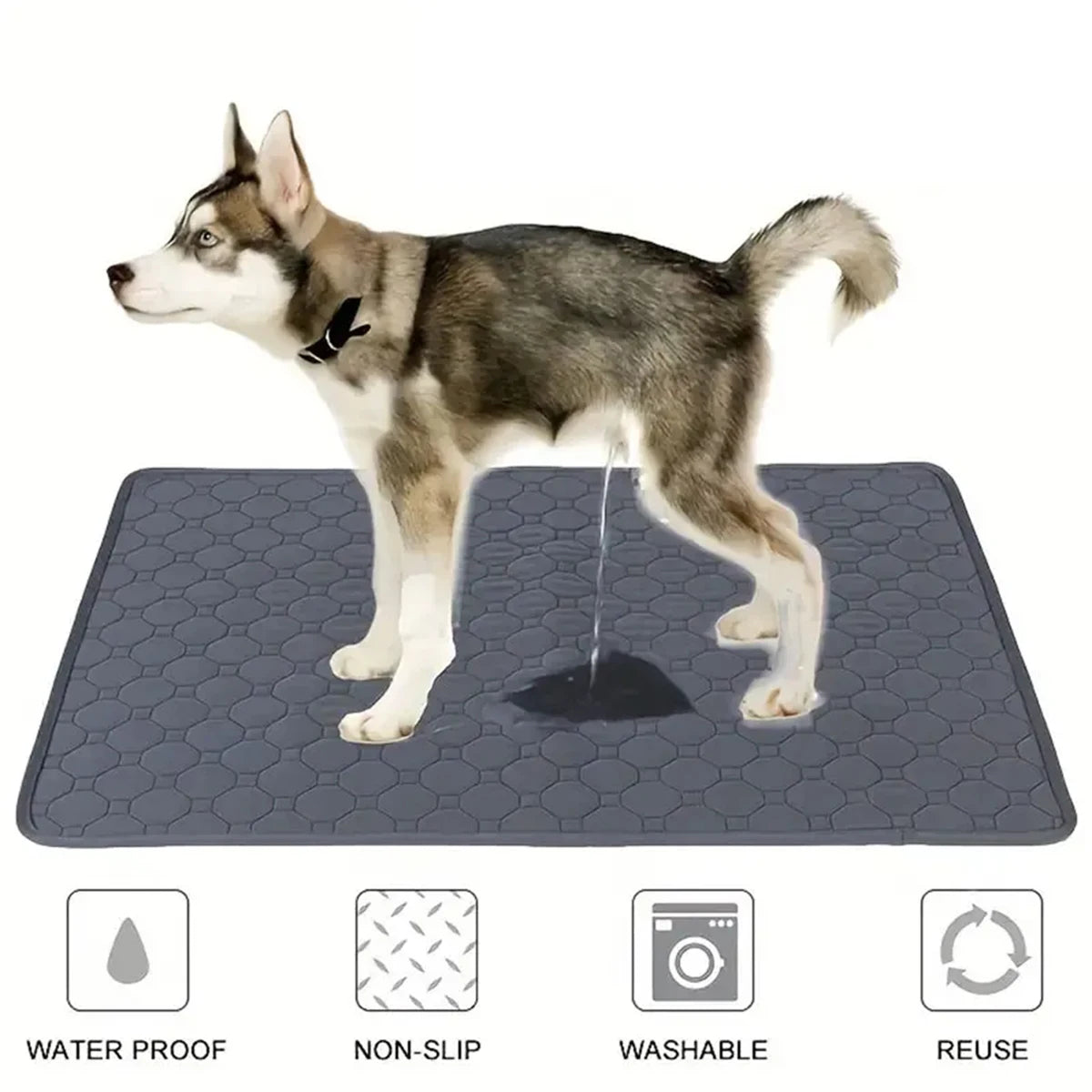Reusable Waterproof Pet Mat for Dogs & Cats – Absorbent & Washable