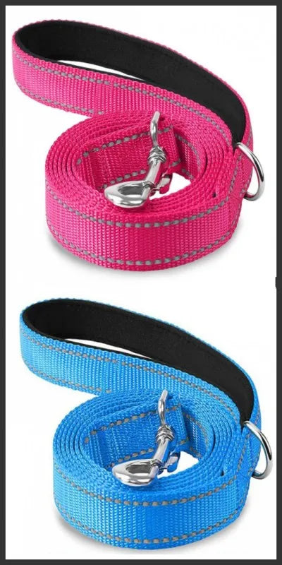 Reflective Dog & Cat Leash — Safe Walks Day and Night