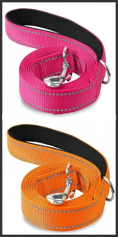 Reflective Dog & Cat Leash — Safe Walks Day and Night