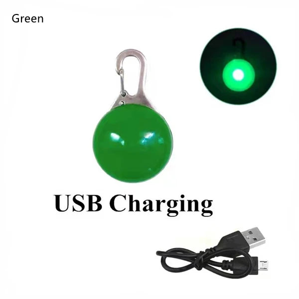 USB Rechargeable LED Dog Collar Pendant — Night Safety Light