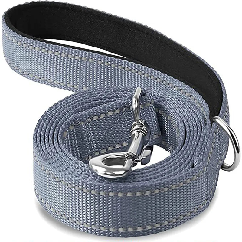 Reflective Dog & Cat Leash — Safe Walks Day and Night