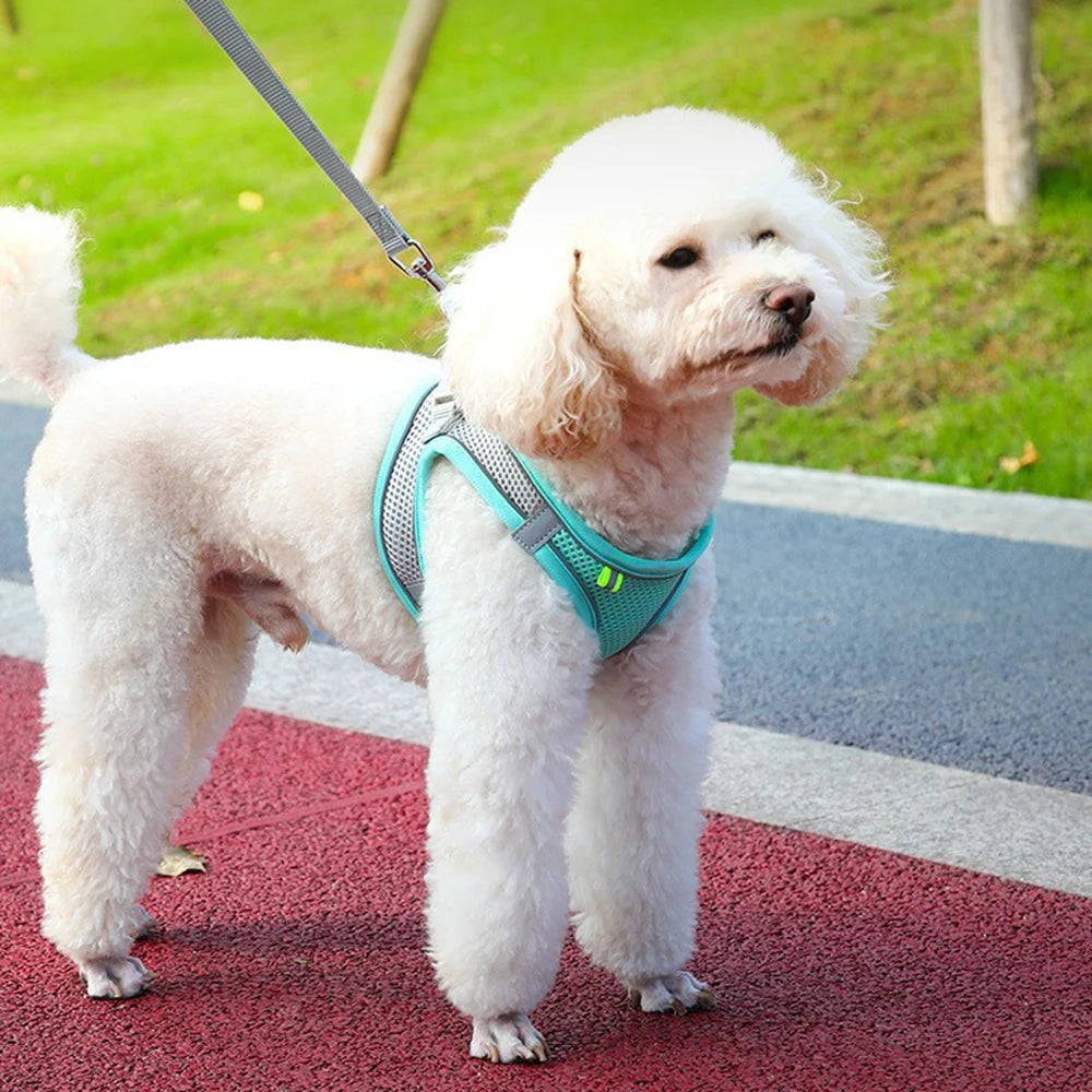 Reflective Adjustable Harness for Dogs & Cats — Vest with Leash for Walking