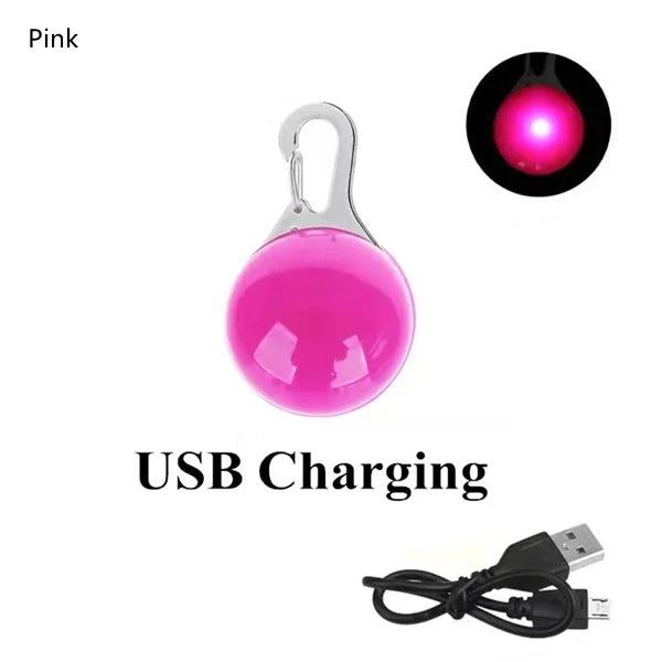 USB Rechargeable LED Dog Collar Pendant — Night Safety Light