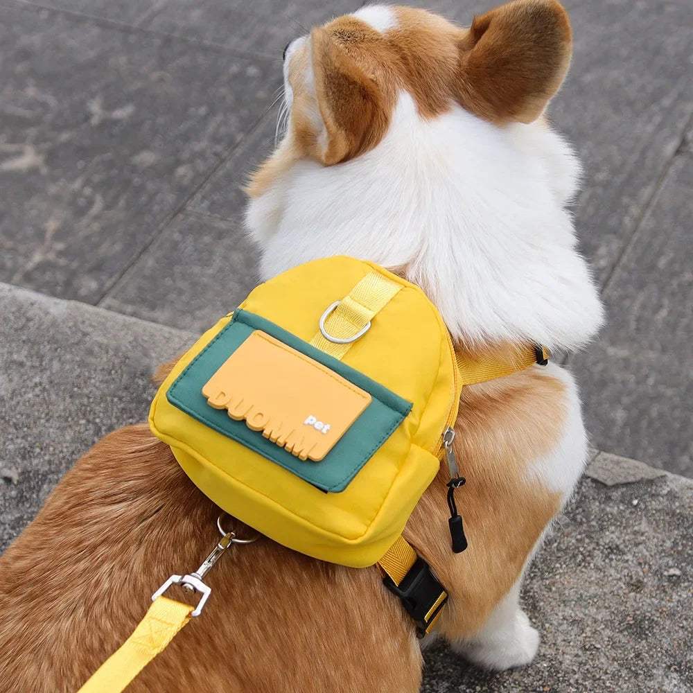 Pet Carrier Backpack with Adjustable Harness & Collar – Perfect for Travel & Walks