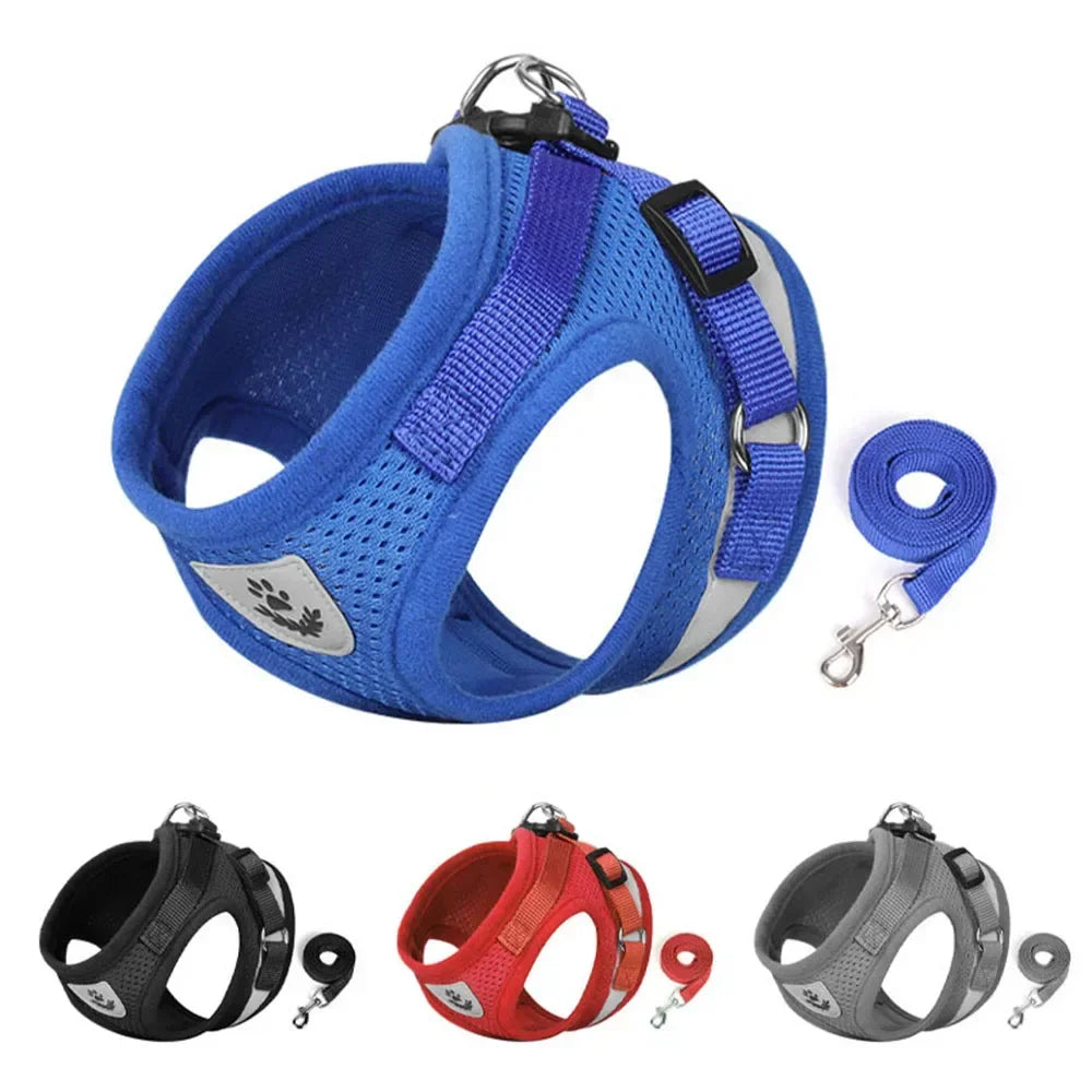 Escape-Proof Cat Harness — Reflective Mesh Vest with Leash, Adjustable
