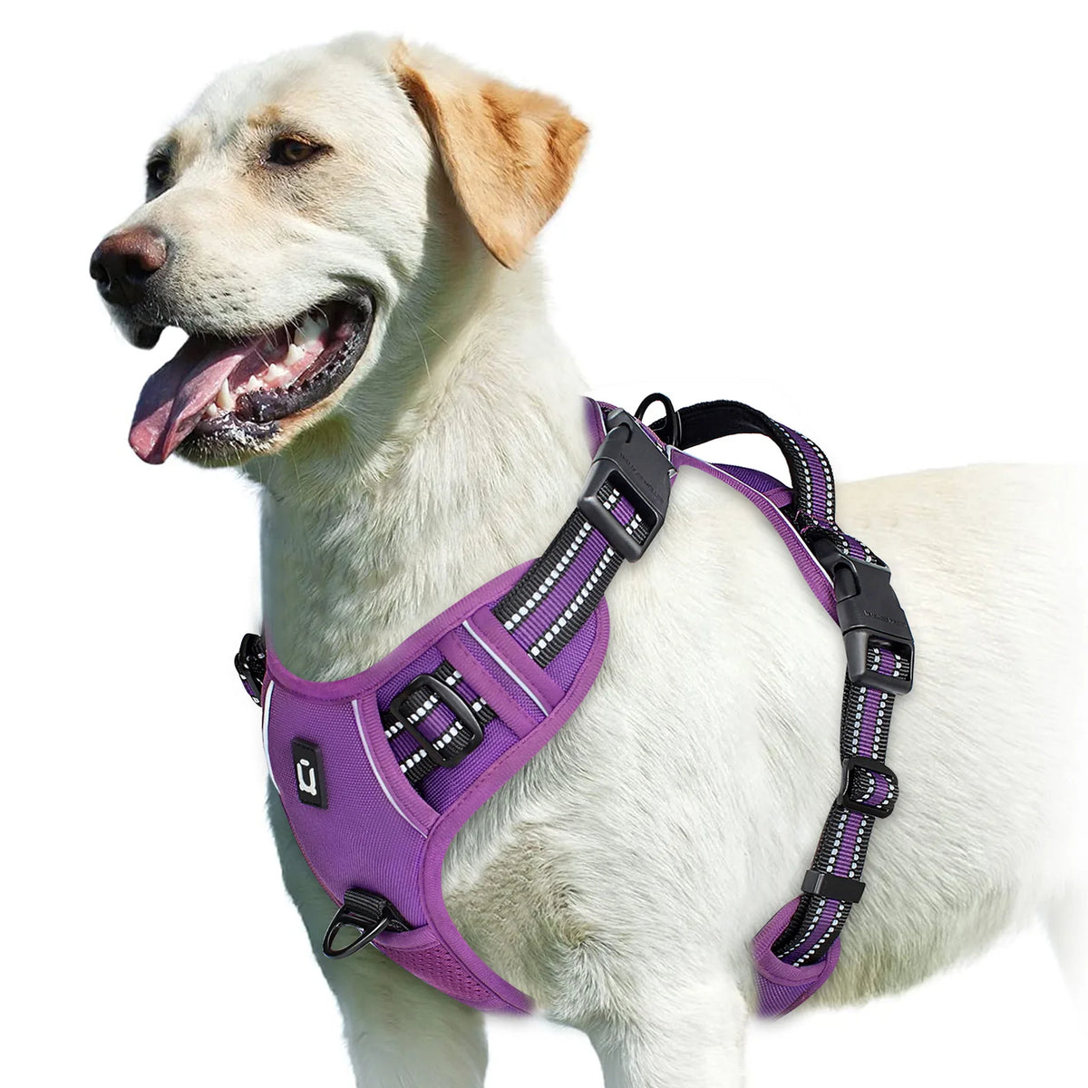 Arnés Sin Jalón para Perros – Chaleco Acolchado Ajustable con Asa de Control