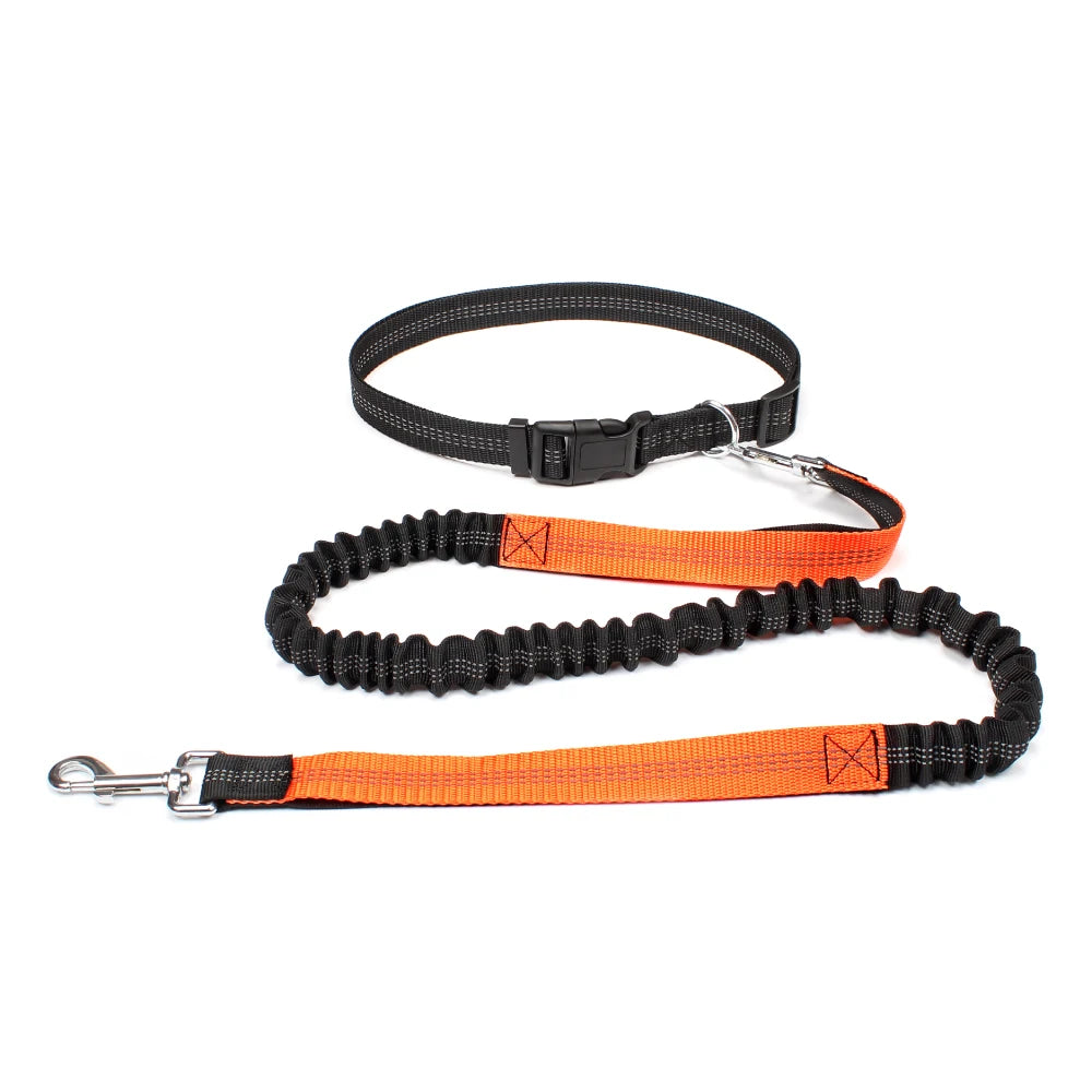 Hands-Free Dog Leash — Adjustable, Reflective & Comfortable for Running & Walking