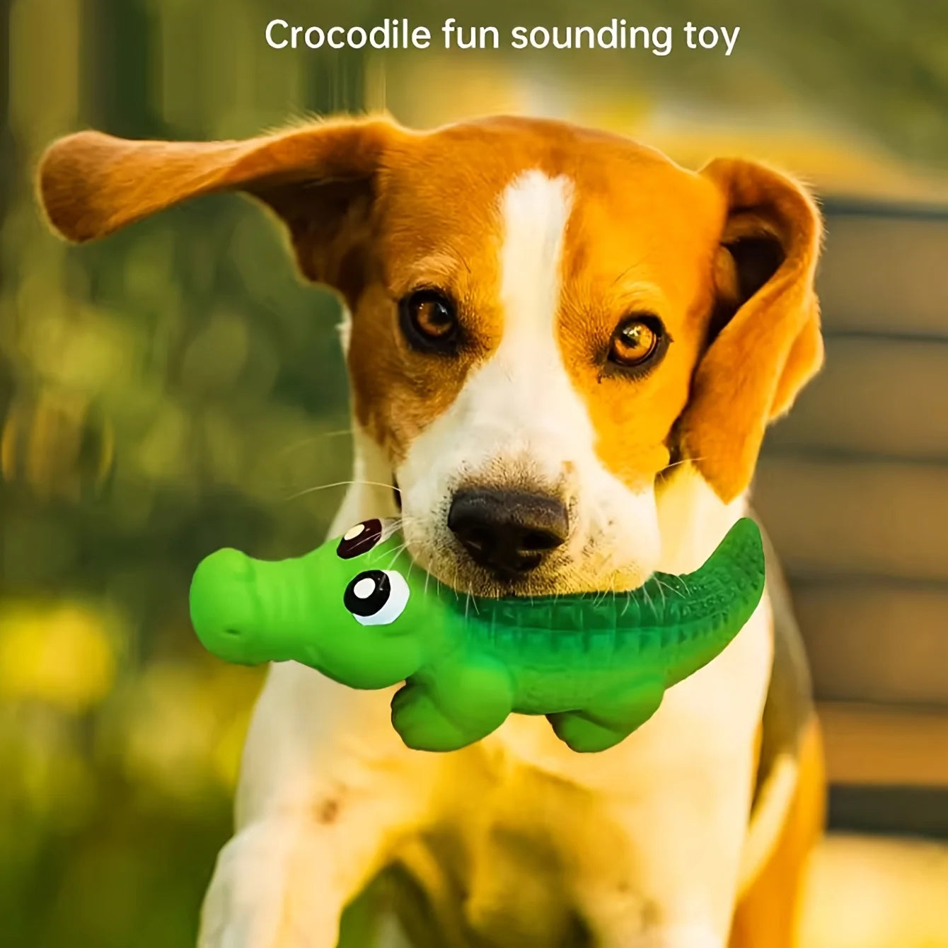 Crocodile Squeaky Dog Chew Toy – Durable Latex for Aggressive Chewers – All Breeds