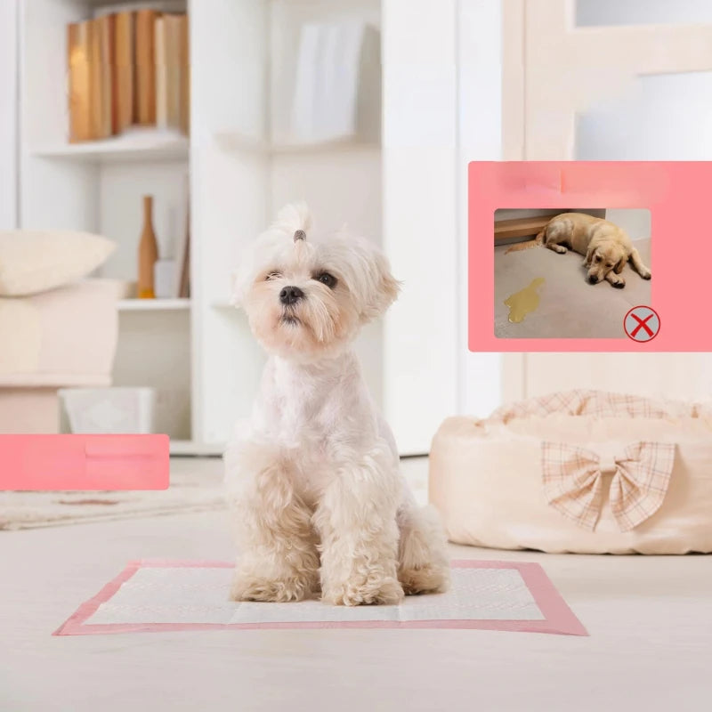 Pet Training Pads — Super Absorbent, Leak-Proof & Odor Control